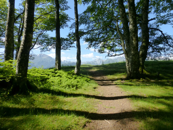 Après une montée à la fraîche en sous-bois, à la lisière, le Cirque apparaît en déroulé avec ses prestigieux sommets.