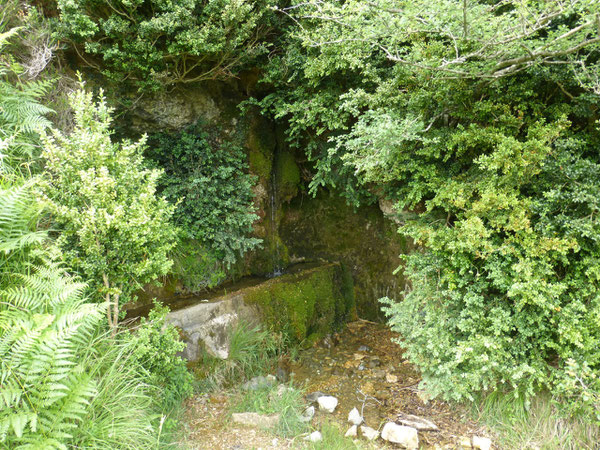 La Fontaine de l'Abense, joyau se cachant sous une voute de buis.