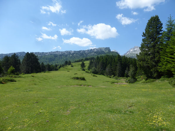 La mare de Girabé au premier plan, et au fond l'entaille du Pas d'Azuns entre les Tourelles à gauche et le Soum Couy à droite ; au centre, émergeant à peine du bois, la cime du Pic d'Anie.