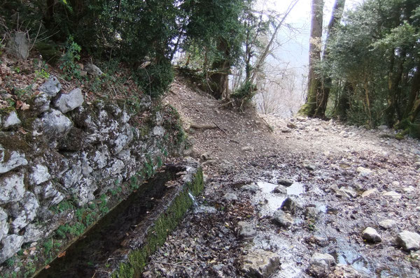 Tout en haut du circuit, la Fontaine de Laruns est nichée dans le buis sous l'Ourdinse.