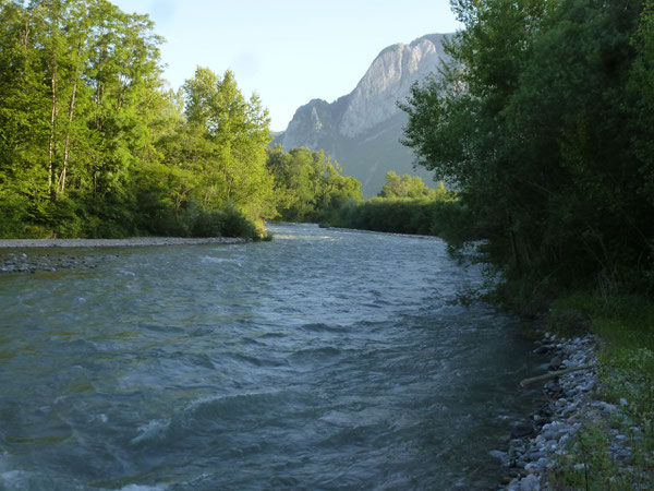 En rive gauche, les chemins longeant le Gave d'Aspe réservent des moments de nature bien plaisants.