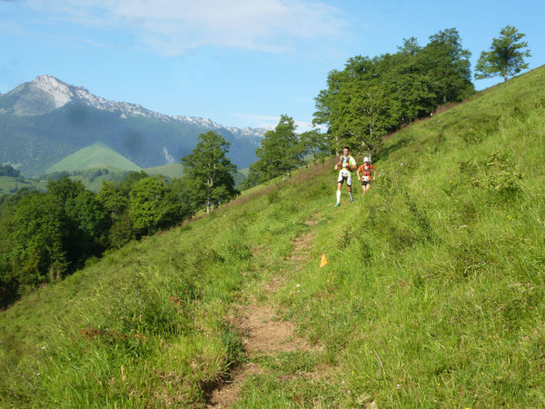 À la descente du Layens, avant de rejoindre le Chemin des Serres.