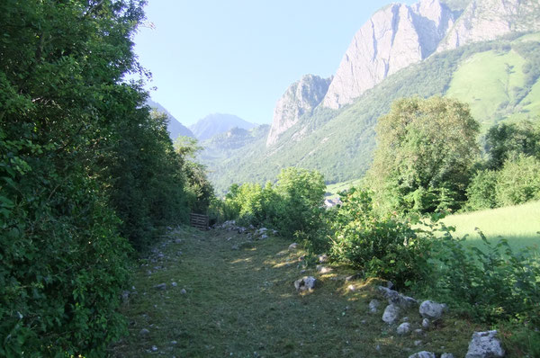 Les Anaques forment une mosaïque de prés calcaires entre Lées et Athas, ici sur le chemin du haut.