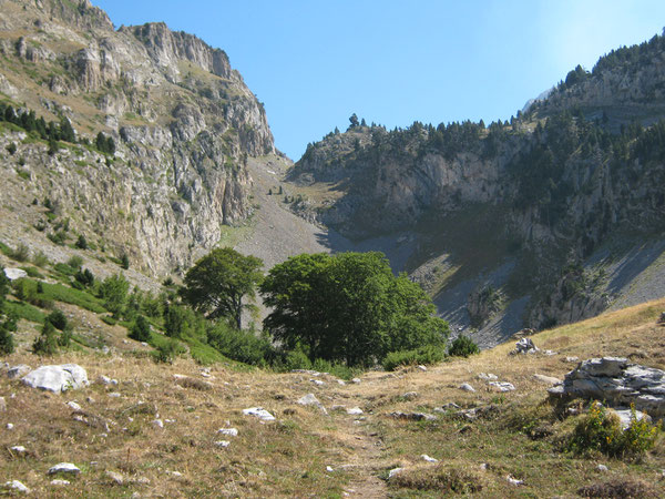 Au fond du désert minéral des Foyas del Ingeniero, le premier bosquet de hêtres fait figure de terre promise.