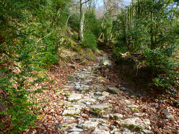 Le chemin pavé de Vesiau (cadastre Napoléon) ou de Sescoué (cadastre actuel).