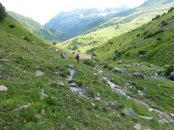 Descente avant de rejoindre Casa la Mina ;  au fond se prolonge la Haute Vallée du Río Aragón Subordán vers Hecho.