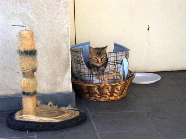 Vittoria nel suo solito cantuccio alla sala da ballo