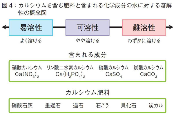 ポテカルNo.89　2013.10　より抜粋