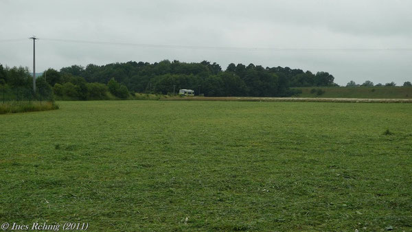 An der B505