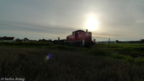 hinter Oberndorf (7. September 2010)