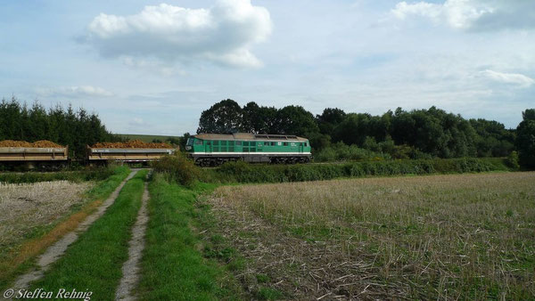 Überweg am Teich bei Frankenau (September 2010)