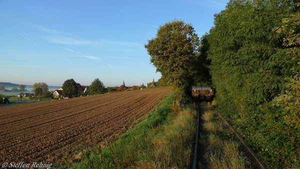 hinterm "Ochsenhügel"  (8. Oktober 2010)