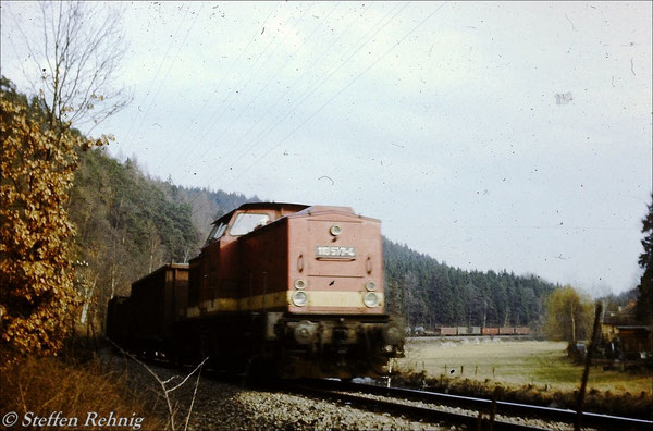 BR 110 577-4 vom Bw Gera mit dem Abendgüterzug Greiz - Gera kurz vor der Rohrbrücke unterhalb von Clodra (1983)