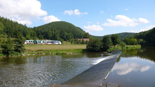 Am Hammermichel bei Berga (August 2008)