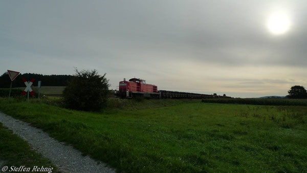 zwischen Elsendorf und Attelsdorf (7. September 2010)