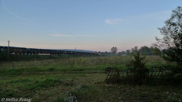 vor Pettstadt (8. Oktober 2010)