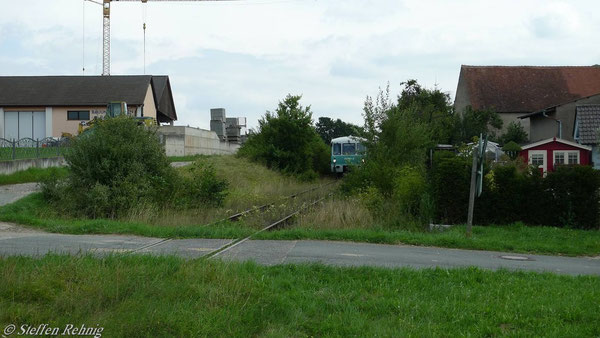 Auf der grünen Wiese.....