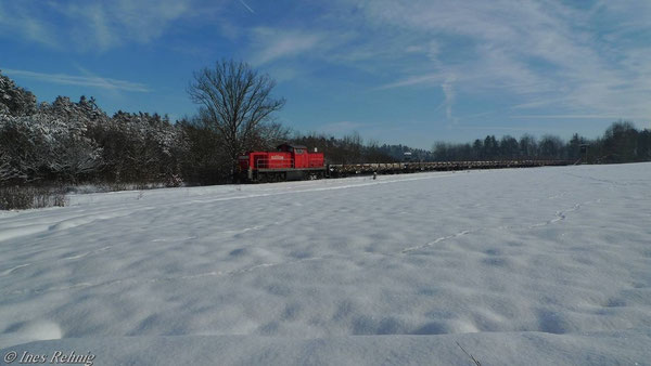 Zwischen Lonnershof und Frensdorf (28. Dezember 2010)