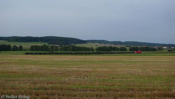zwischen Mühlhausen und Wachenroth (7. September 2010)