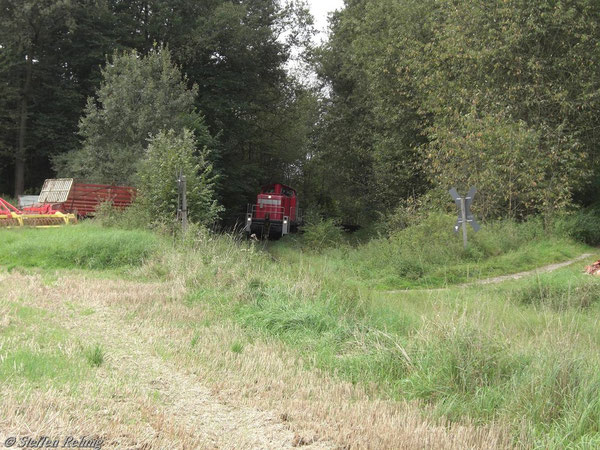 Lonnershof (7. September 2010)