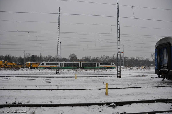Berlin Grunewald (4. Januar 2011)