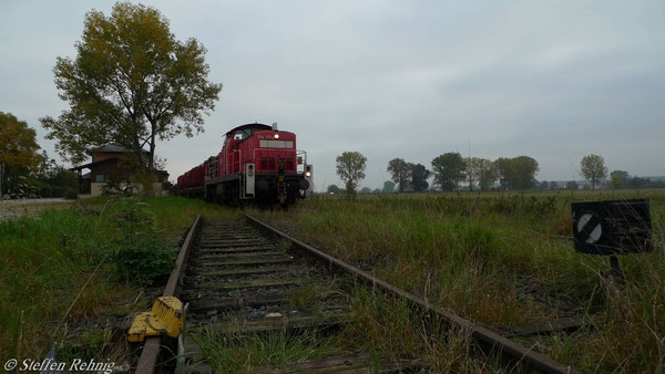 Steppach-Pommersfelden (7. Oktober 2010)