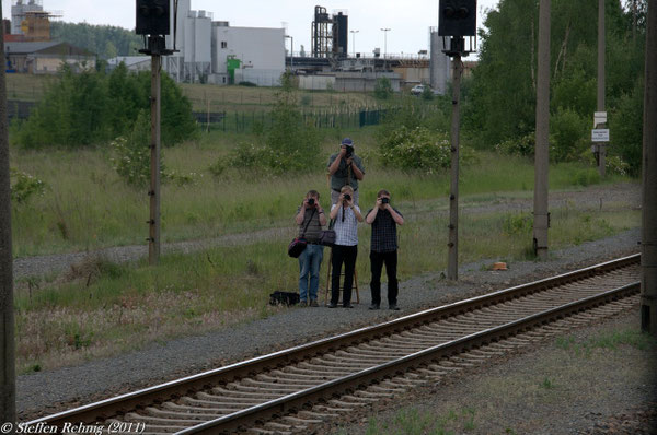 "Affenpyramiede" (Schmirchau 28.5.2011)