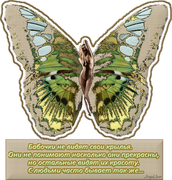 фразы про бабочек. бабочка на размытом фоне. бабочки не видят насколько прекрасны их крылья. физминутка видишь бабочка летает. бабочка не видит свои крылья.
