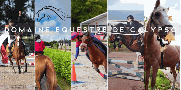 domaine equestre de calypso