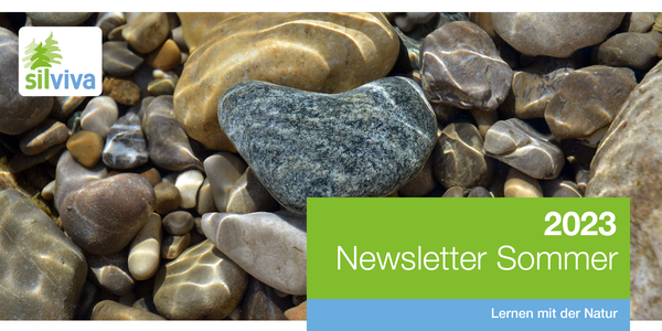 Header Newsletter