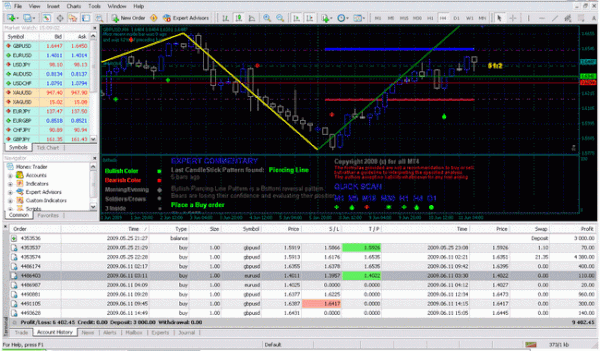 tips trading forex selalu profit