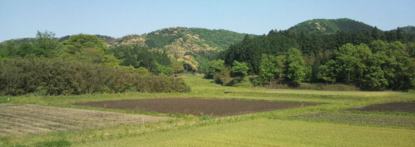 写真中央の山にカリフラワーのような黄緑色の樹木が見え、椎の木の花が咲いたことがわかります。（※クリックすると拡大します）