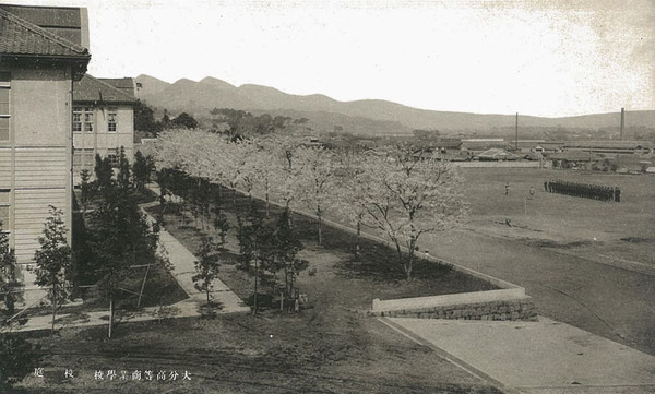 大分高商の本館前の桜並木、運動場、遠景に高崎山、由布山、鶴見山を眺めた絵葉書(著者所収)