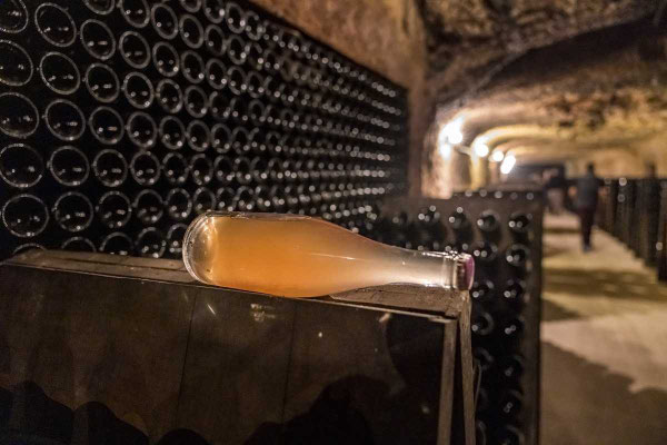 photo-by-David-Darrault-wine-tour-troglo-cellar-wine-tasting-Loire-Valley-near-Tours-Amboise-Vouvray