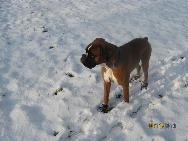 Erste Schritte im Schnee mit den neuen Winterschuhen