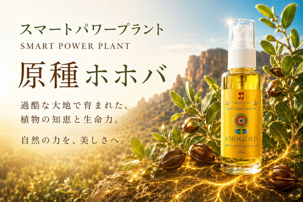 アリゾナの大地に育つ原種ホホバの葉と種、ホホゴールドのボトルを描いたスマートパワープラントPR画像