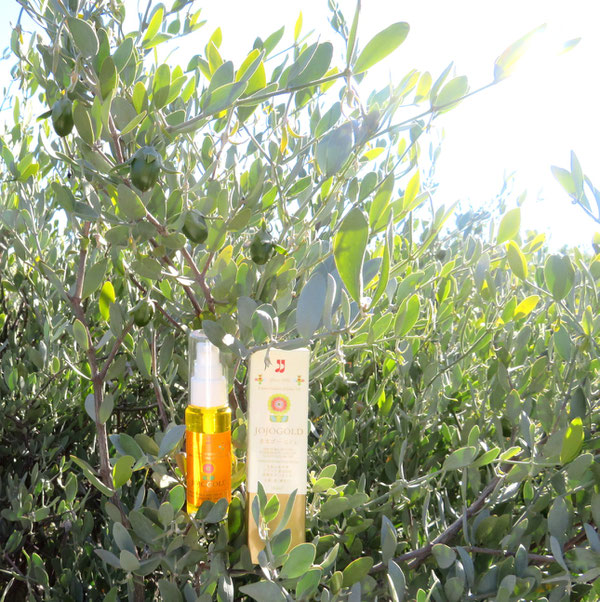 ♔ JOJOBA SPIRITS JOJOGOLD "Mystic dew" - a golden Oasis for your skin.