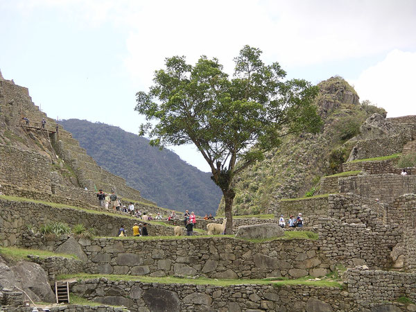 Machu Picchu besuchen - nehmen Sie Zeit mit und übernachten einmal in Aguas Calientes