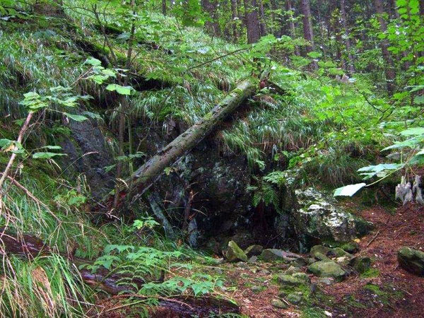 Blick zum verschütteten Stollenmundloch 