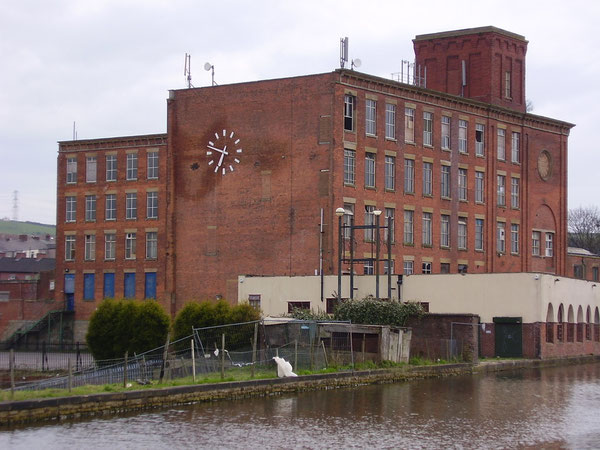 Albion Mill photographed in 2008. The mill ceased production in 1975