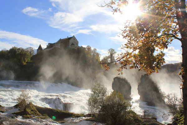 Rheinfall Schaffhausen, Schweiz/Suisse, 09.11.2013, Canon EOS 550d. Foto: Eleonore Schindler von Wallenstern.