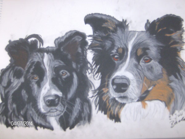 Tally und Lizzy, Border Collies