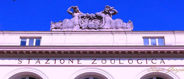 - 6 ottobre 2014 - Stazione zoologica Anton Dohrn - Acquario di Napoli - Via Caracciolo – Villa Comunale