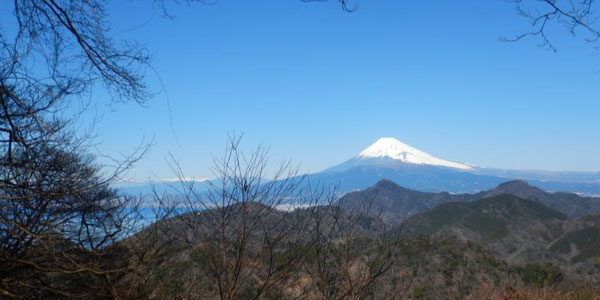 葛城山下山道より　手前は沼津アルプス