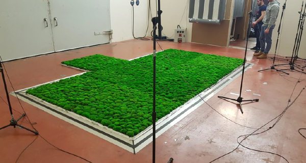 Test acoustique de nos végétaux stabilisés en chambre réverbérante