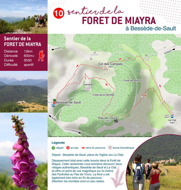 Forêt de Miayra - Randonnées Pyrénées Audoises
