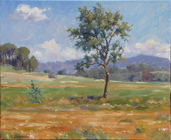 Tony Wahlander (Tony Wåhlander) artiste peintre en Provence 