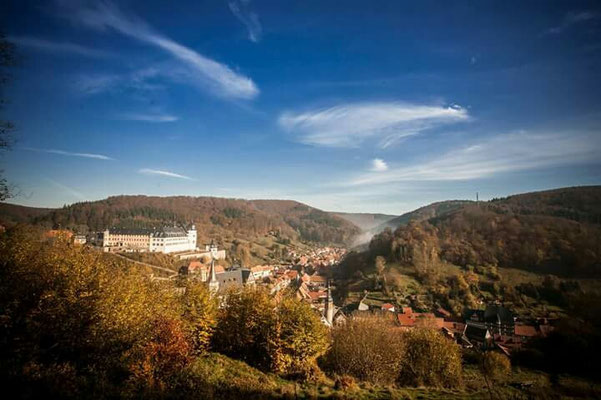 Harz single urlaub