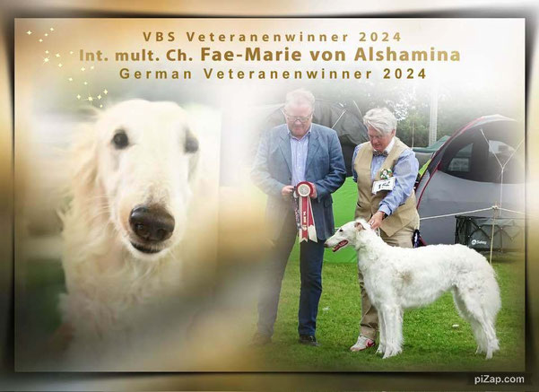 Erfolgreich, tolle Hunde, dog champions, von Alshamina, Barsoizüchterin Nadja Pergher, Rassehunde VDH