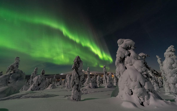 Northern Lights over snowy Lapland forest in winter, Finland.